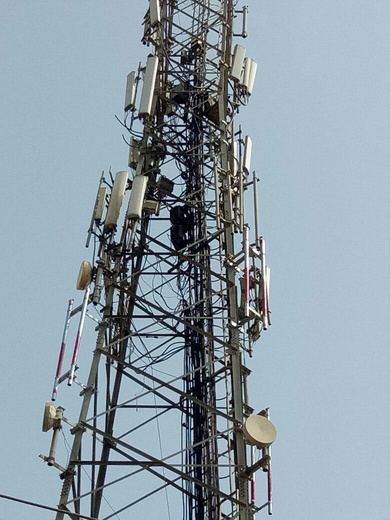 Lattice telecom tower carrying panel antennas and microwave dishes